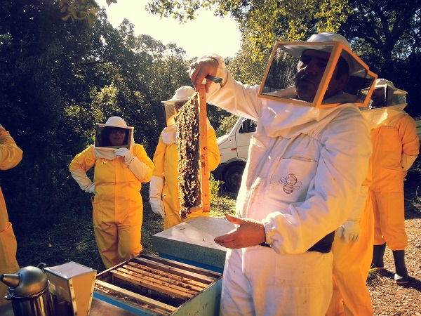 サルデーニャ産ハチミツ　養蜂家